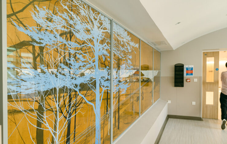 Blue Cedar, Silver Water © Andrew Mackenzie, photo by cro+kow