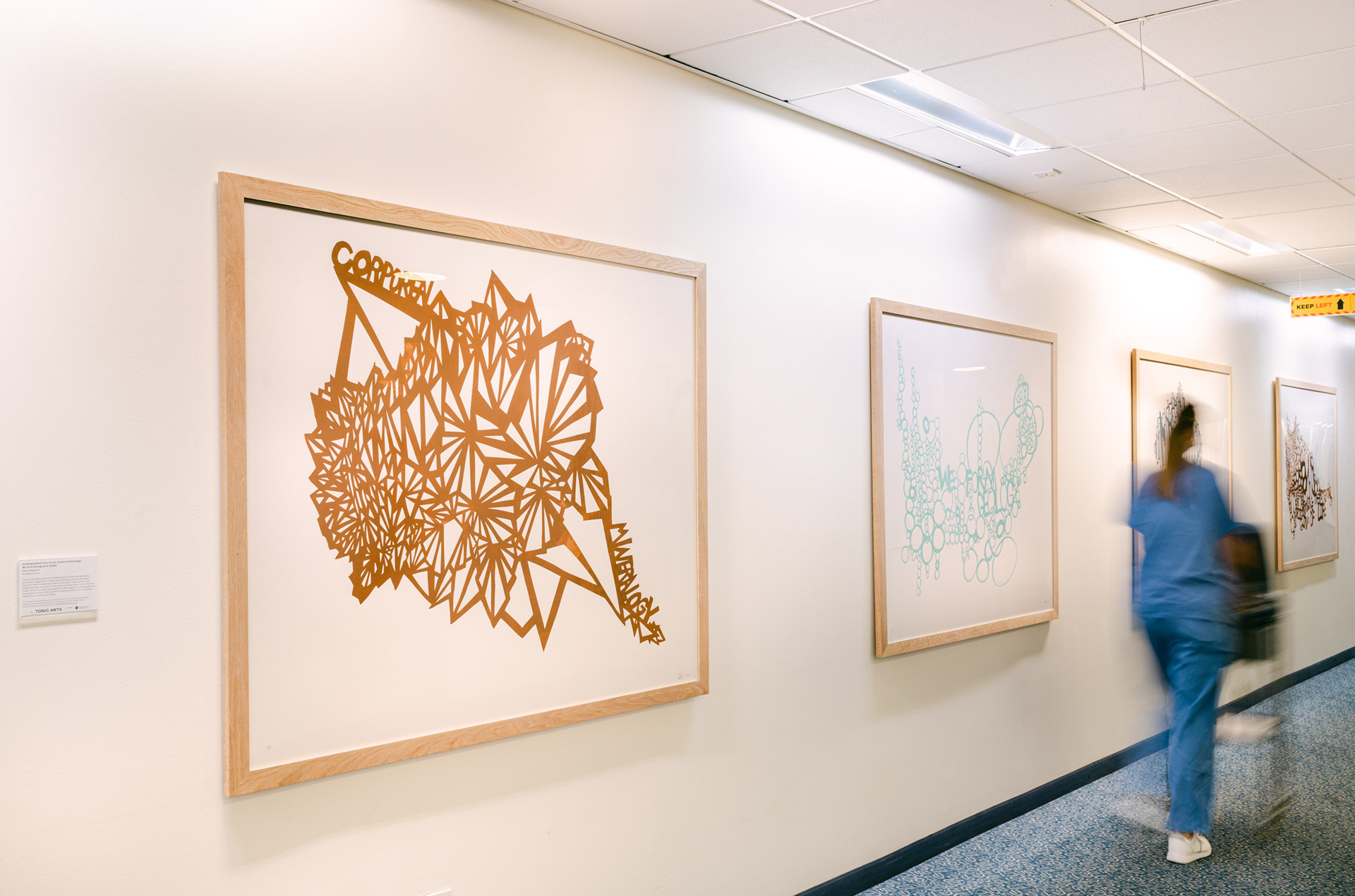Woodblock prints by Ilana Halperin in the Tonic Arts Collection. From L to R: Corporeal Minerology, We Form Geology, Autobiographical Trace Fossils , An air Bubble, the Potential Origin of Life
