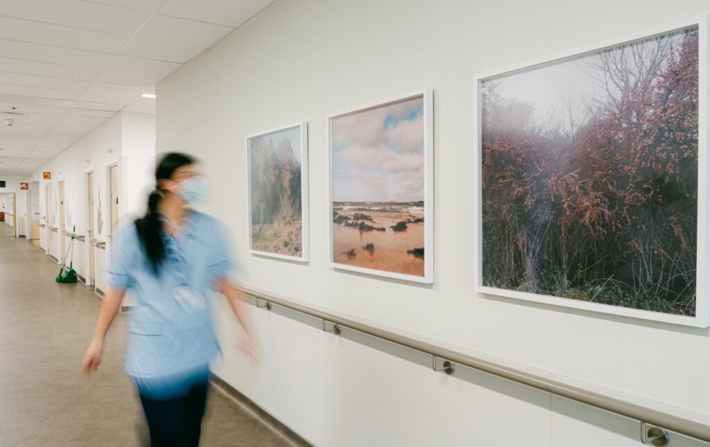 Artworks by Natalie Feather, East Lothian Community Hospital