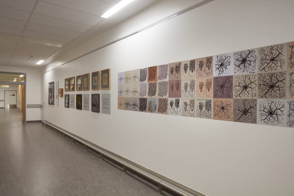 Exhibition view of Cajal Embroidery Project: In Celebration of Neuroscience