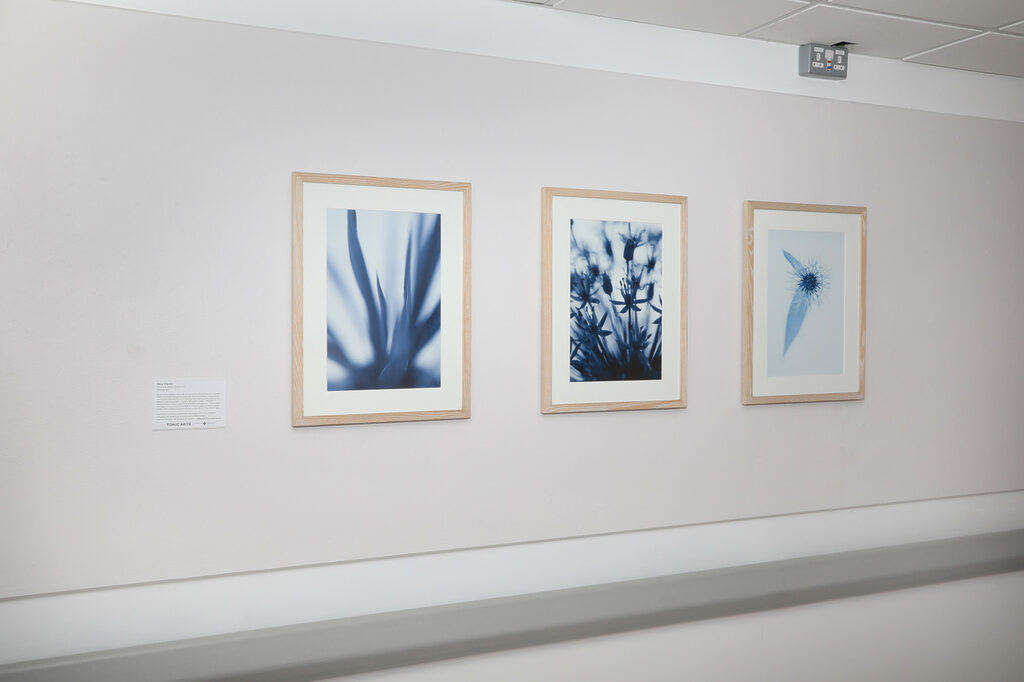 Complimentary images from the Tonic Arts collection exhibited in conjunction with Plants that Heal