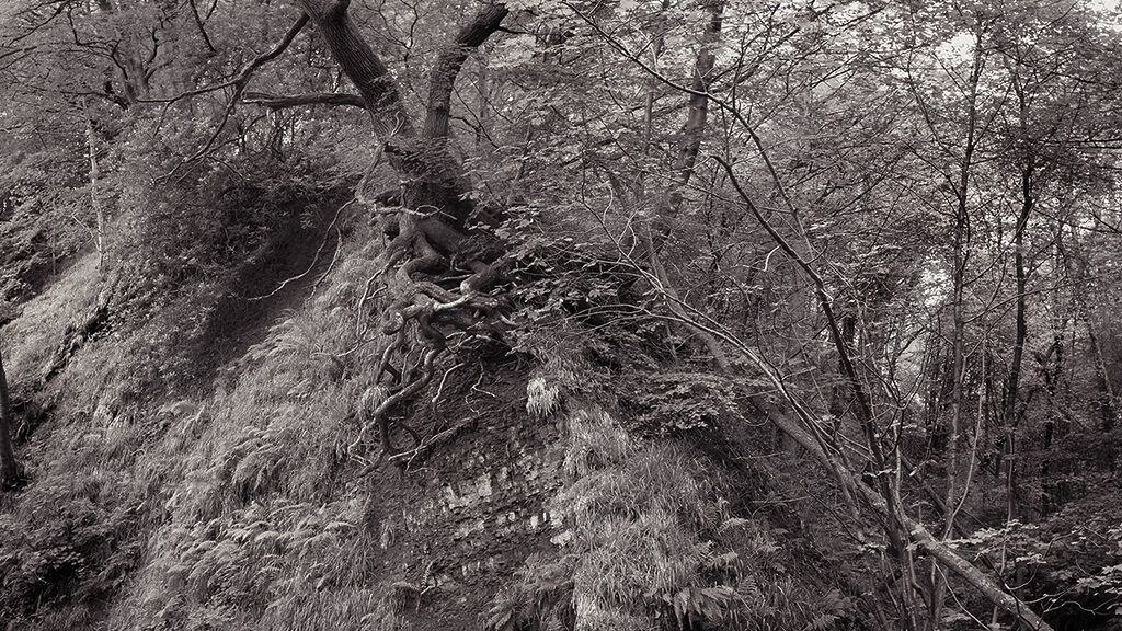 Pradip Malde, Sliding Tree Quarnford, Derbyshire 2019