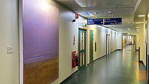 'River' by Alan Kilpatrick displayed in the ICU corridor at the Royal Infirmary of Edinburgh