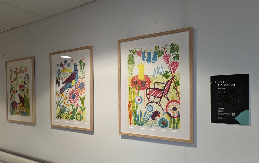 A series of collection artworks installed along the corridors at Midlothian Community Hospital