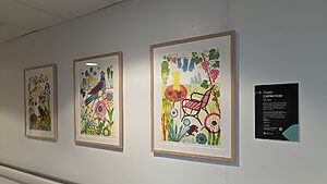 A series of collection artworks installed along the corridors at Midlothian Community Hospital