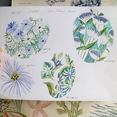 Artist, Natasha Russell's, sketches of the designs for the Chalmers Centre