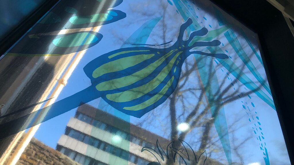 Canopy by Natasha Russell at NHS Lothian's Chalmers Centre