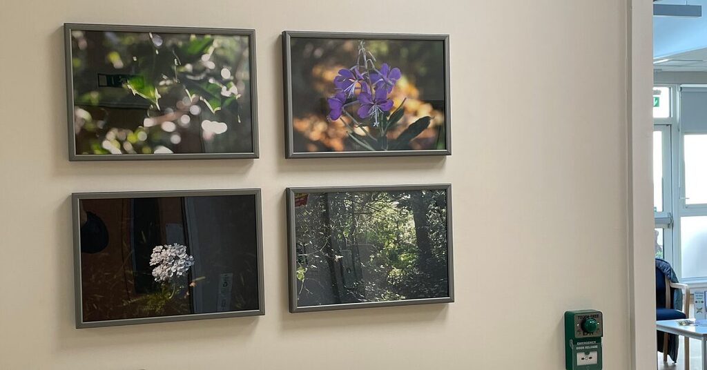 Looking through a new lens of 4 images