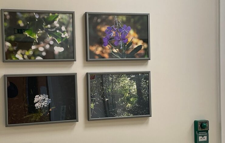 Looking through a new lens of 4 images