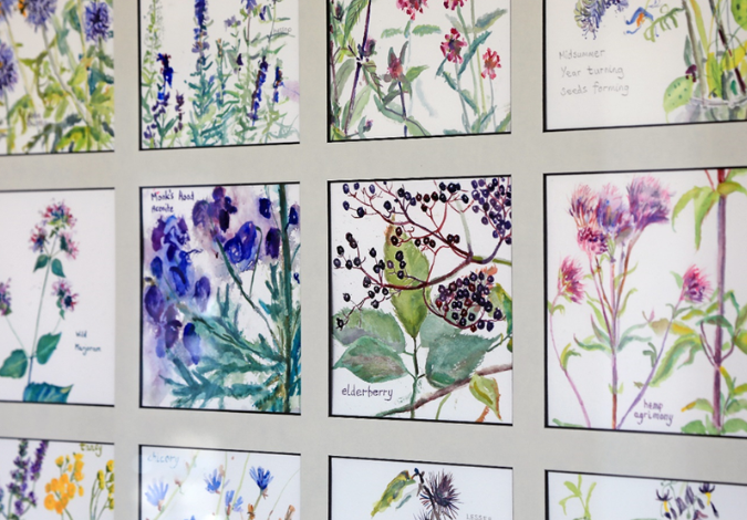 watercolour botanics on a wall