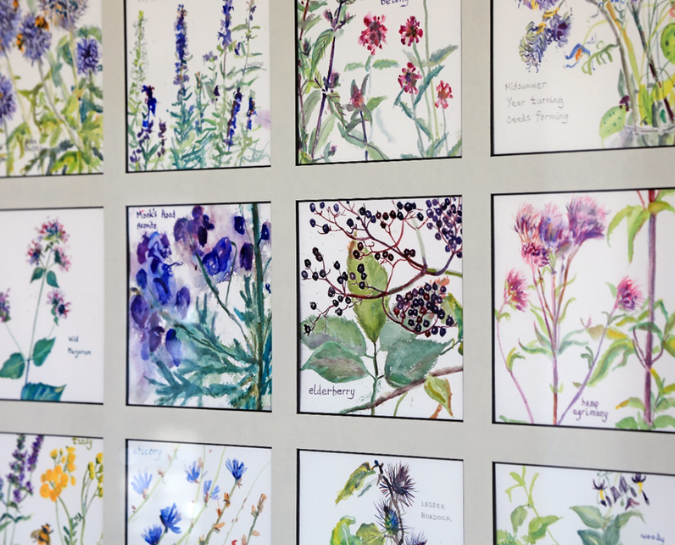 watercolour botanics on a wall